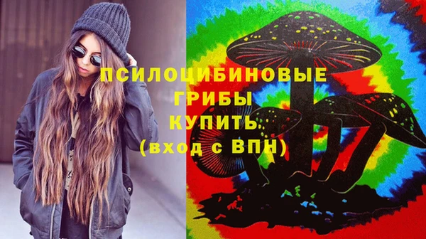 2c-b Богданович