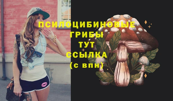 круглые Арсеньев