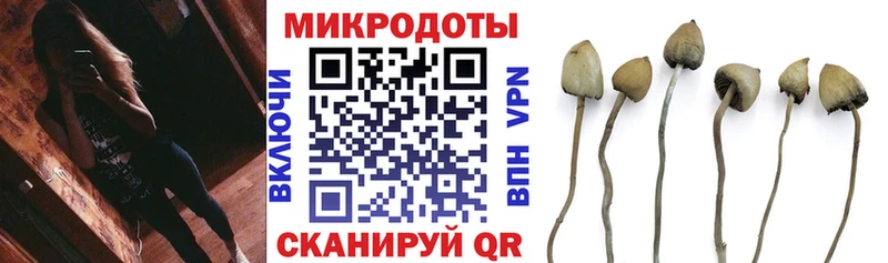 Галлюциногенные грибы GOLDEN TEACHER  Калининец 